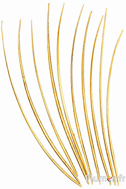 Gans schacht - 25-30 cm - goud
